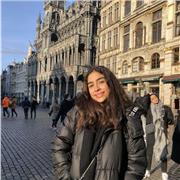 Professeur anglais natif offre des cours particuliers aux élèves d’école